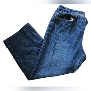 Denim Jeans Plus Size Women (24W)